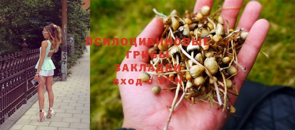 ПСИЛОЦИБИНОВЫЕ ГРИБЫ Абинск