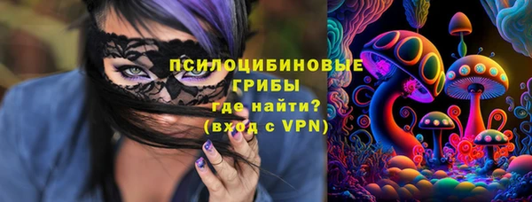 ECSTASY Покровск