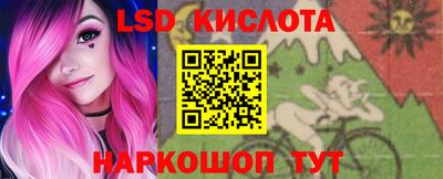 амф Гатчина