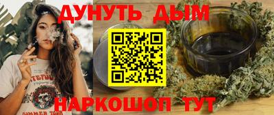 амф Гатчина