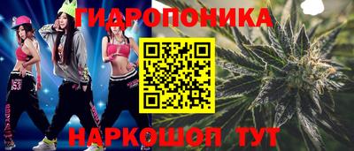 амф Гатчина