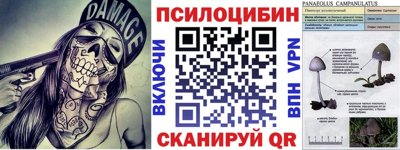 Псилоцибиновые грибы ЛСД Ржев