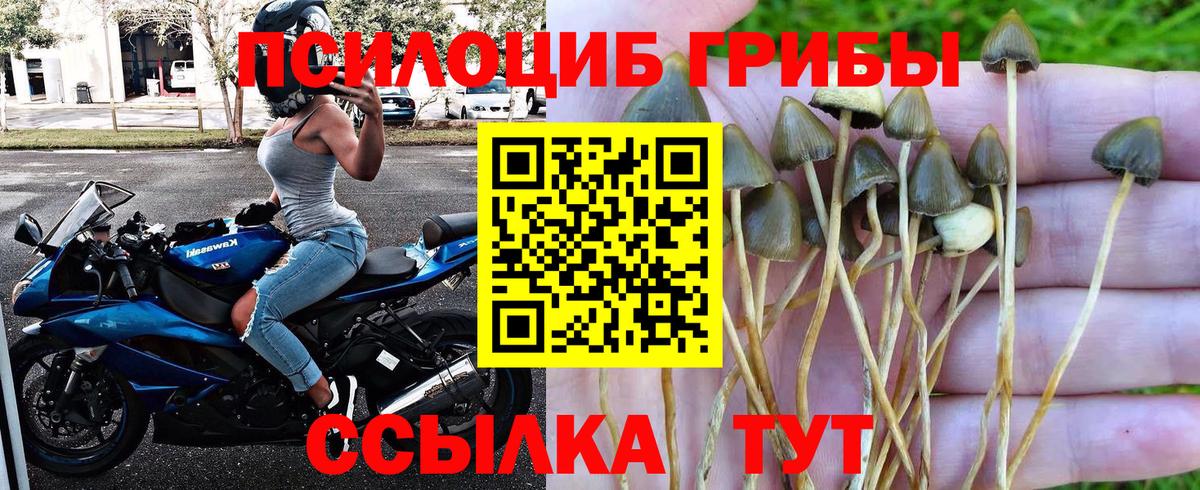 Псилоцибиновые грибы мицелий  Галлюциногенные грибы Cubensis  Ржев  Вход с VPN 