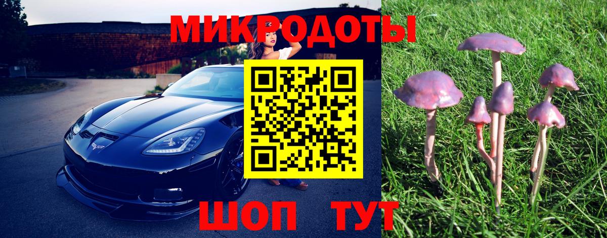 Галлюциногенные грибы MAGIC MUSHROOMS Ржев